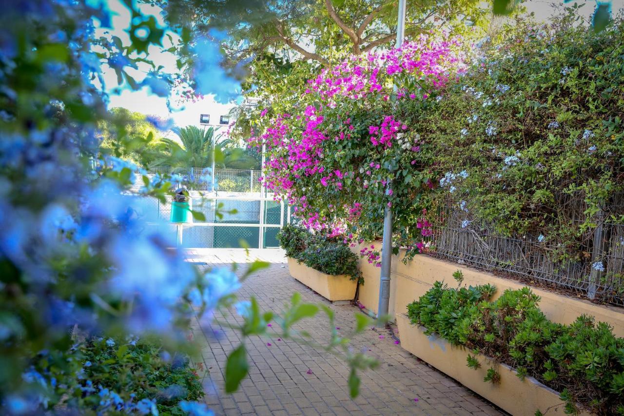 Montesol Home - Parking Gratis Ayamonte Exteriör bild